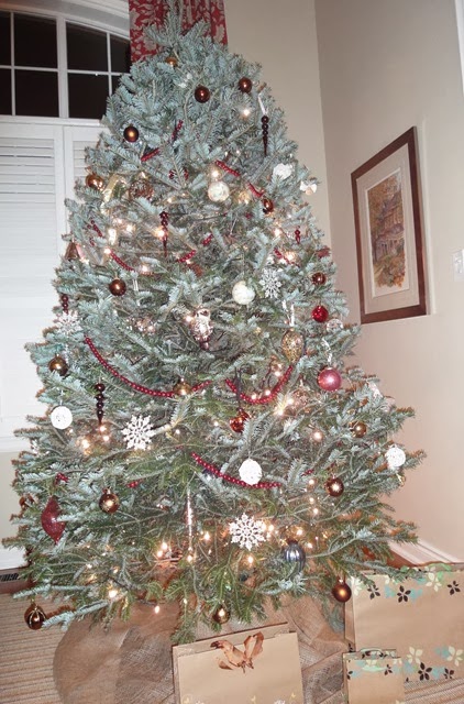 [tree5[6].jpg]