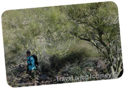 PalmCanyon 045 PalmCanyon 045