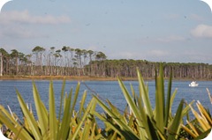 Bon Secour National Wildlife Refuge