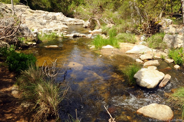 Bear Canyon Loop Trail