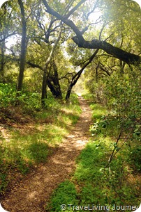 BearCanyonLoopTrail 069