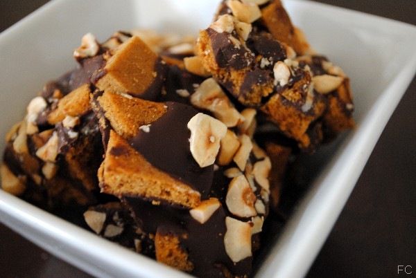 [GingerHazelBark4[1].jpg]