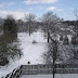 2006 - 07, Lexington snow and Annie071.jpg