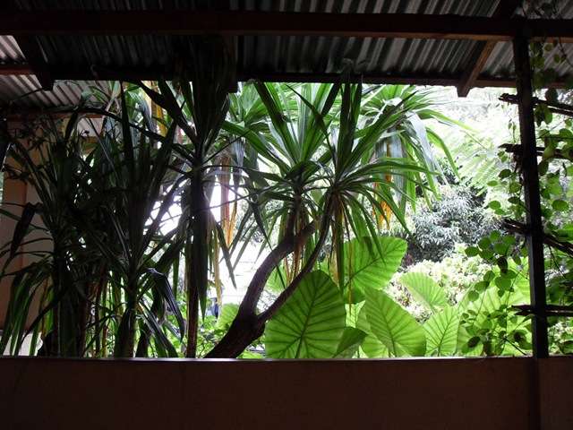[SDC133263.jpg]