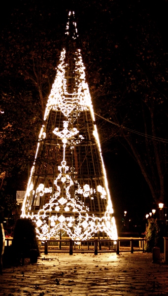arbol