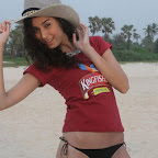 Kingfisher Calender Girls
