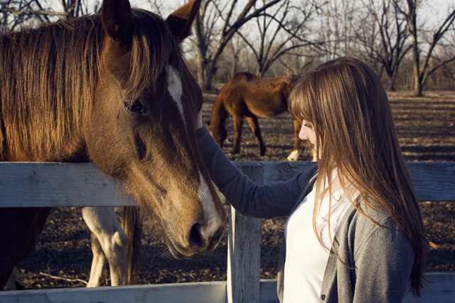 [jennhorse[4].jpg]
