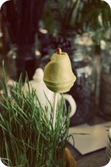IMG_0208 copy