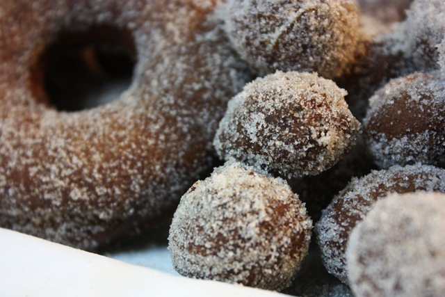 [donut4[4].jpg]