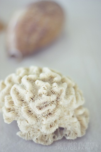 Misty details5