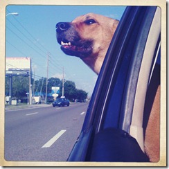 Iphone May June 046