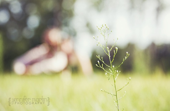 grass2