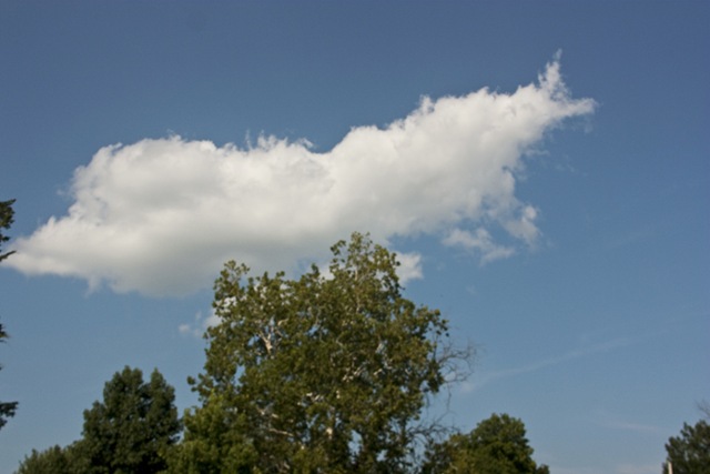 [gavincloud copy[5].jpg]