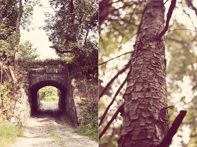 [treediptych[7].jpg]
