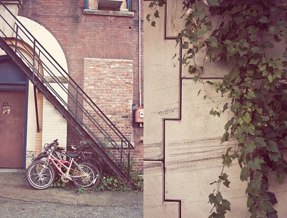 bikediptych