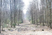 DSC_1763.JPG Photo