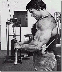 Arnold Schwarzenegger tricep pushdown