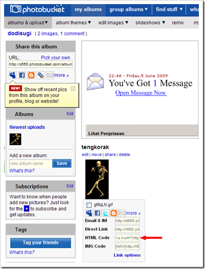 photobucket URL image 03