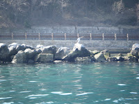 Muggia-Capodistria 004.jpg Photo Muggia-Capodistria 004.jpg Photo