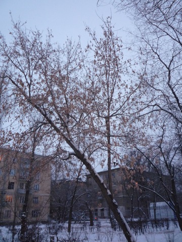 [P1030291[2].jpg]