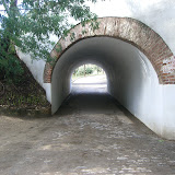 CIMG0451.JPG