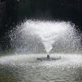 CIMG0457.JPG