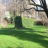 CIMG0469.JPG