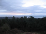 http://lh3.ggpht.com/_Q-b3D5rJSGo/S1LQXWurvOI/AAAAAAAABvM/4okQhjtEgO0/Hardelot%20%28131%29.jpg