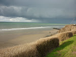 http://lh3.ggpht.com/_Q-b3D5rJSGo/S1LSlts2-lI/AAAAAAAAB0U/J9gJ80e58OM/Hardelot%20%28277%29.jpg