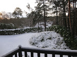 http://lh3.ggpht.com/_Q-b3D5rJSGo/S1LSwY4rSJI/AAAAAAAAB00/GNnzm9vOsMM/Hardelot%20%28288%29.jpg