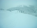 http://lh3.ggpht.com/_Q-b3D5rJSGo/S1LvmLY4dGI/AAAAAAAAB2I/mFjGAXNNXX4/Vosges2010%20%28107%29.jpg