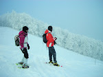 http://lh3.ggpht.com/_Q-b3D5rJSGo/S1Lvo8V1x_I/AAAAAAAAB2U/tBqhIvbQ-3E/Vosges2010%20%28110%29.jpg