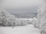http://lh3.ggpht.com/_Q-b3D5rJSGo/S1LxlzIpVtI/AAAAAAAAB7M/HiOh-8MbD2Y/Vosges2010%20089.jpg