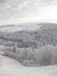 http://lh3.ggpht.com/_Q-b3D5rJSGo/S1LyABpwzBI/AAAAAAAAB8M/3KMmN2vnd1s/Vosges2010%20117.jpg