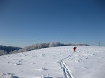 http://lh3.ggpht.com/_Q-b3D5rJSGo/S1LyzJhU8-I/AAAAAAAAB94/Gtf2e7G8O_A/Vosges2010%20168.jpg