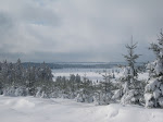 http://lh3.ggpht.com/_Q-b3D5rJSGo/S2naIpATlII/AAAAAAAACX0/DSAGTVf9Y_0/FagnesMutzenich%20035.jpg