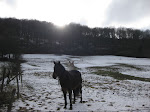 http://lh3.ggpht.com/_Q-b3D5rJSGo/S4WKV7Du-_I/AAAAAAAACpo/b9XJgDiztHw/Hotton2010%20046.jpg