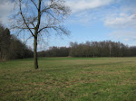 http://lh3.ggpht.com/_Q-b3D5rJSGo/S7G5nYa8sMI/AAAAAAAAC4A/5QgMWNFJxd8/TroisFrontieres%20065.jpg