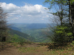 http://lh3.ggpht.com/_Q-b3D5rJSGo/S_z-K0cvncI/AAAAAAAADPo/oQvYJLxZL90/VosgesMai2010%20207.jpg