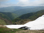 http://lh3.ggpht.com/_Q-b3D5rJSGo/S_z8LGbey5I/AAAAAAAADMQ/oBBQBvCg_2Y/VosgesMai2010%20047.jpg