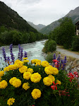 http://lh3.ggpht.com/_Q-b3D5rJSGo/StHfYij_xQI/AAAAAAAAAD8/JeNArjtxC8M/P1000062.JPG