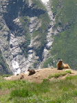 http://lh3.ggpht.com/_Q-b3D5rJSGo/StHhkOStyxI/AAAAAAAAAHg/bfI9-Ej3ntM/IMG_3848.jpg