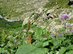http://lh3.ggpht.com/_Q-b3D5rJSGo/StHi0F_dLHI/AAAAAAAAAJg/F9BHUIWzeR4/P1000103.JPG