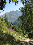 http://lh3.ggpht.com/_Q-b3D5rJSGo/StHoAvuHNcI/AAAAAAAAASQ/GrKqGtTty0M/IMG_4220.jpg