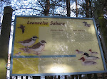 http://lh3.ggpht.com/_Q-b3D5rJSGo/SwvBy_vQc1I/AAAAAAAAAvs/nJxNBUEvbgw/CampineLommel%20013.jpg