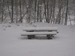 http://lh3.ggpht.com/_Q-b3D5rJSGo/SzCaaSpd_MI/AAAAAAAABe0/idcNkjS_MpY/Zoetewaters%20013.jpg