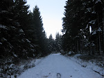 http://lh3.ggpht.com/_Q-b3D5rJSGo/Szic8QlloFI/AAAAAAAABmI/oFDxvXJt494/FagnesNordEst%20153.jpg