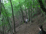 http://lh3.ggpht.com/_Q-b3D5rJSGo/TAOh5jNFAsI/AAAAAAAADfY/ESm2TPCmlzY/Riviere%20100.jpg