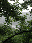 http://lh3.ggpht.com/_Q-b3D5rJSGo/TAOhVCmzLyI/AAAAAAAADeg/2ojG1txlstY/Riviere%20062.jpg