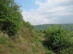 http://lh3.ggpht.com/_Q-b3D5rJSGo/TAOiZ-zY0SI/AAAAAAAADgQ/2Cpp4nm0sqo/Riviere%20118.jpg